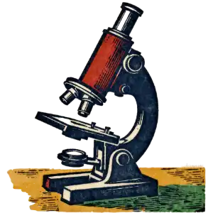 Seguridad alimentaria y control